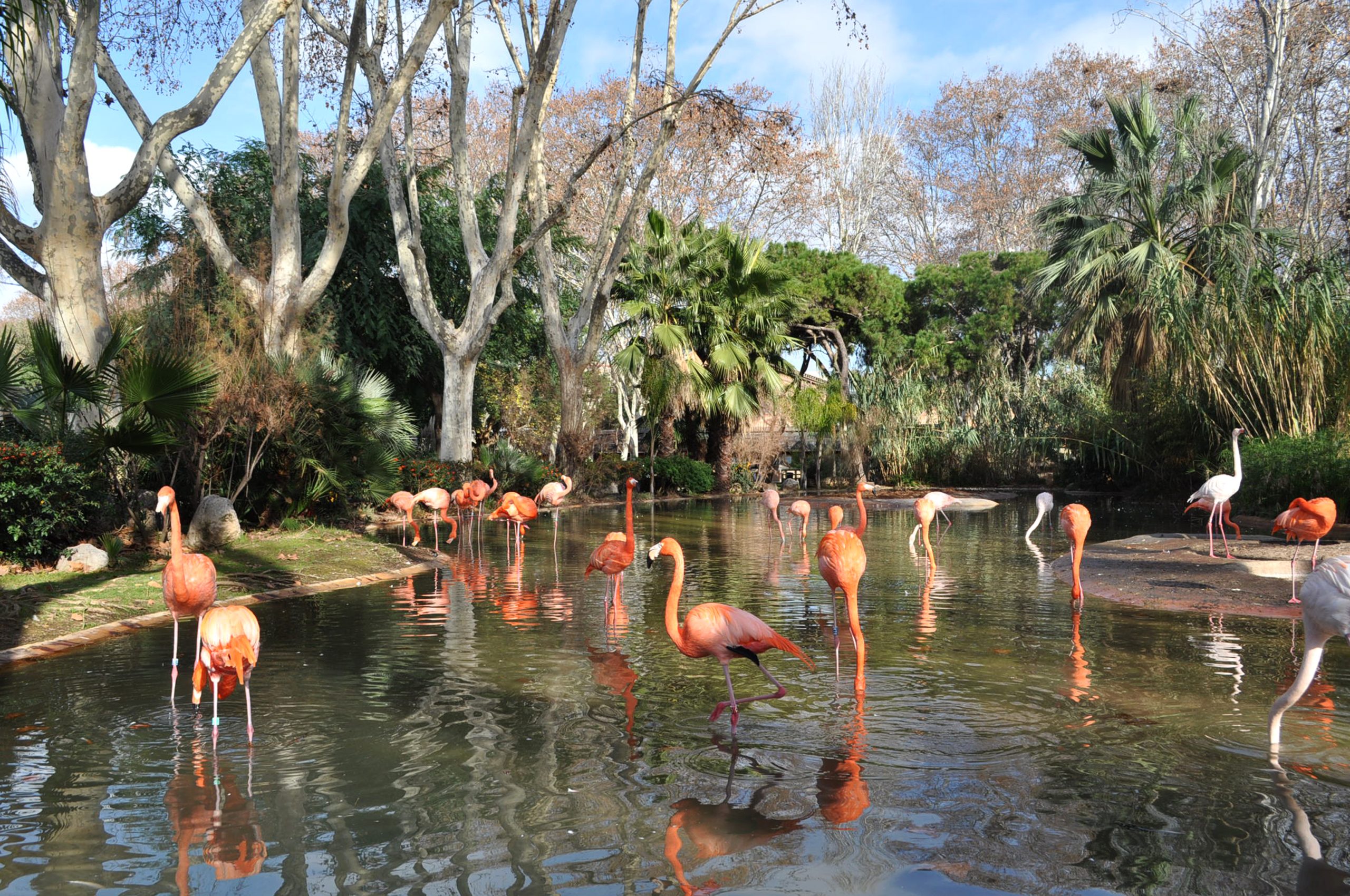 mkhuze-inn-isimangliso-wetland